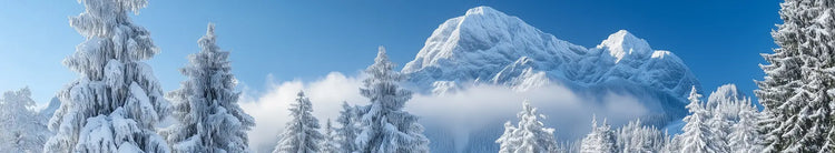 Najah Winter Perfumes Banner